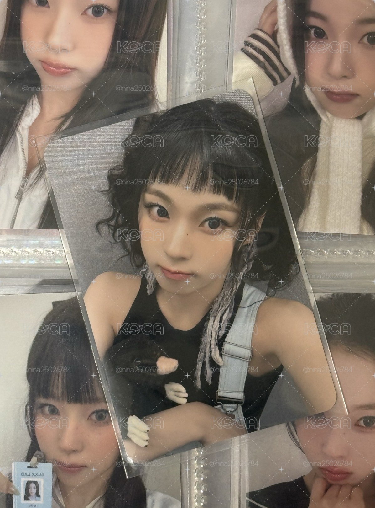 鼴鼠圭⭐️