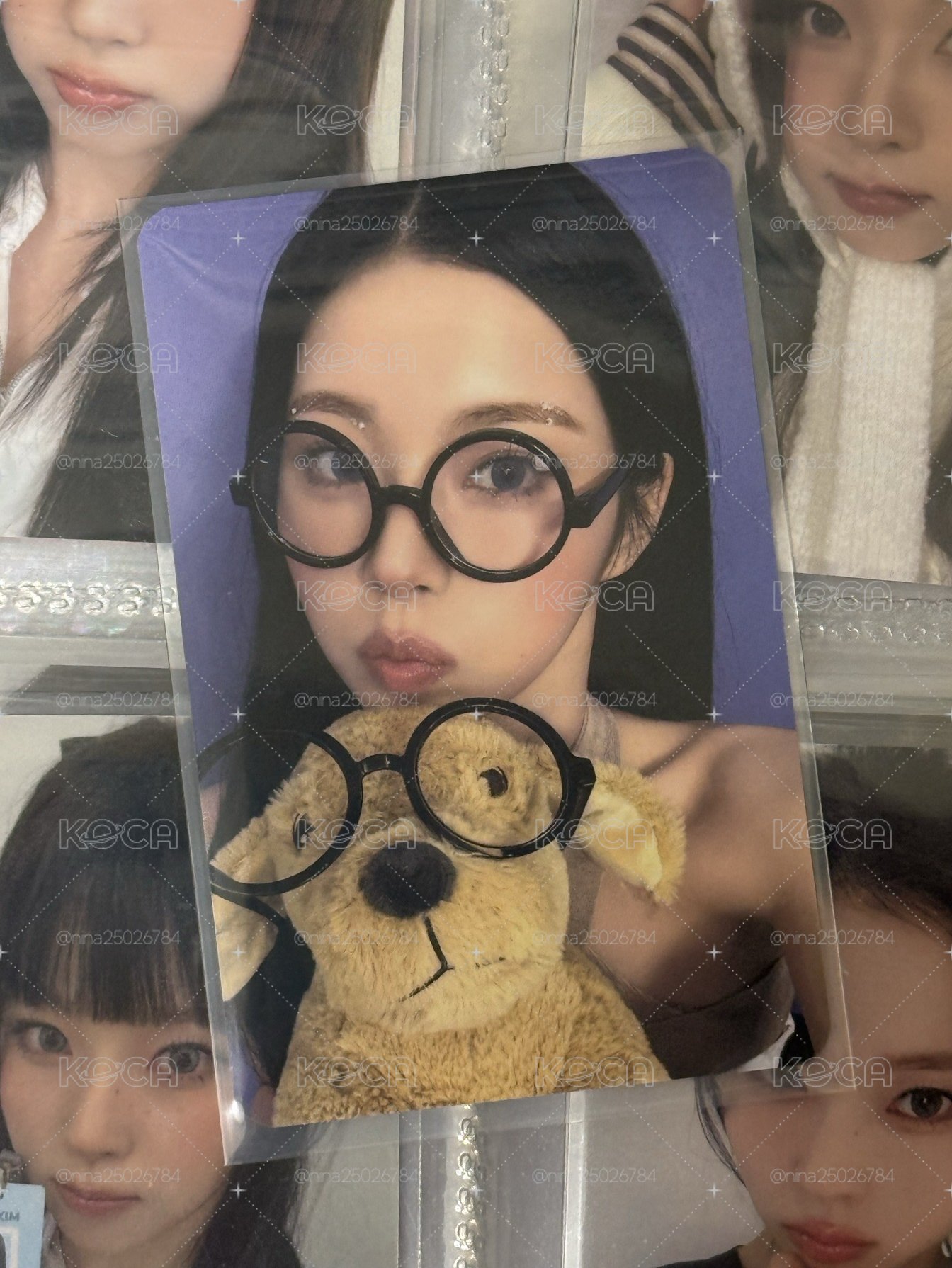 眼鏡小狗圭✅