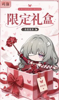 限定禮盒