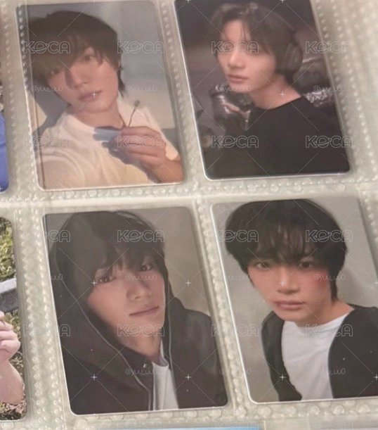 綠毛衣小熊圭🧸