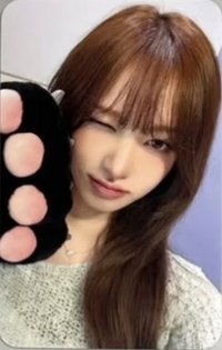 MINIVE × 愛寶樂園 門票 入場卡 / 場限卡 