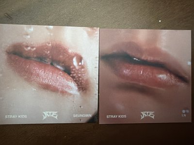 [回血]SKZ 專卡 燦/糯/彬/辰/韓/菲/玟/寅