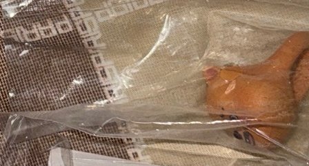 全新戒指 無外殼