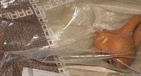 全新戒指 無外殼