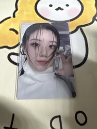 刷貓抓