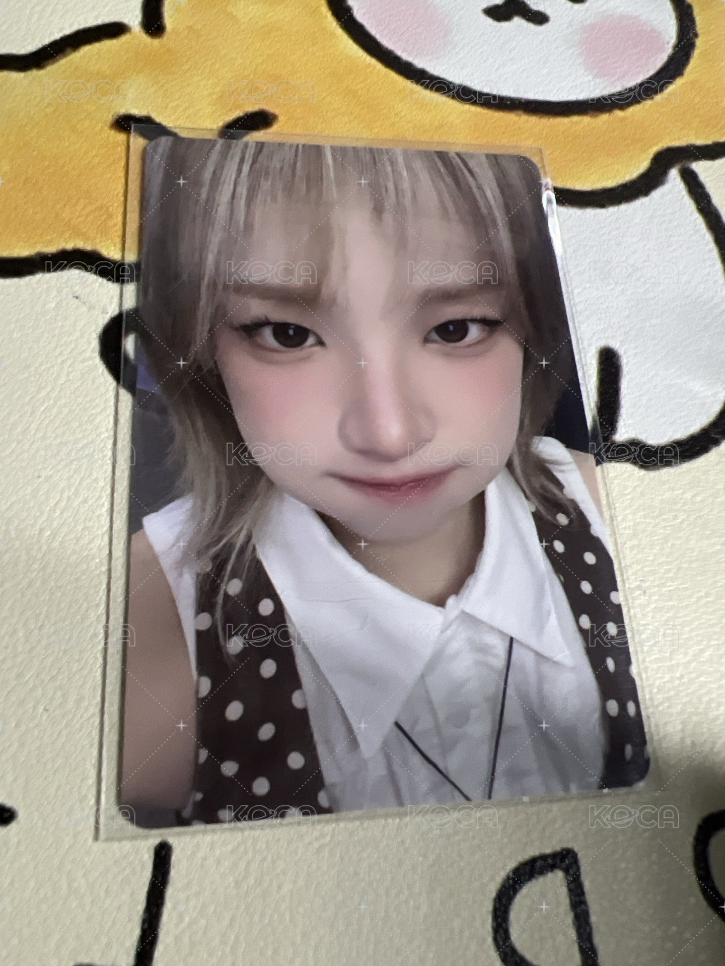 豬包