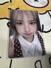 豬包