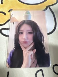 mr頭頂多多