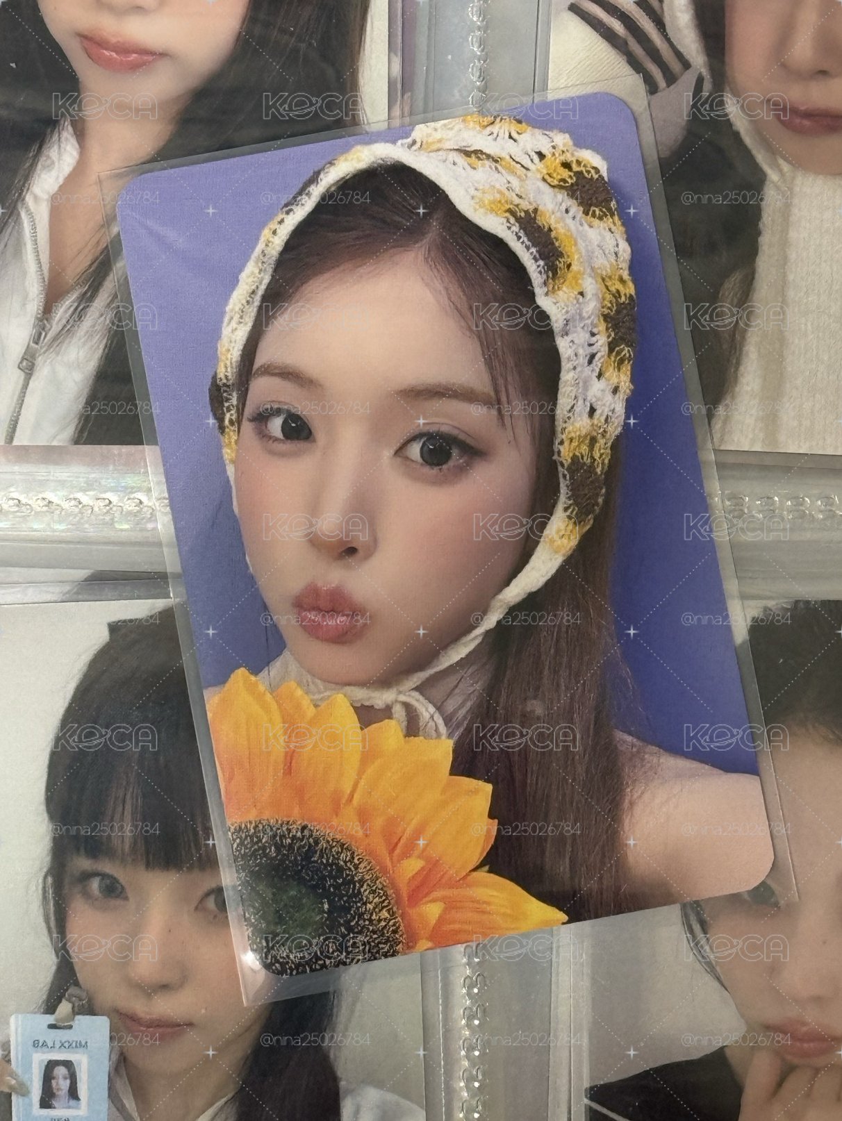 向日葵啾✅