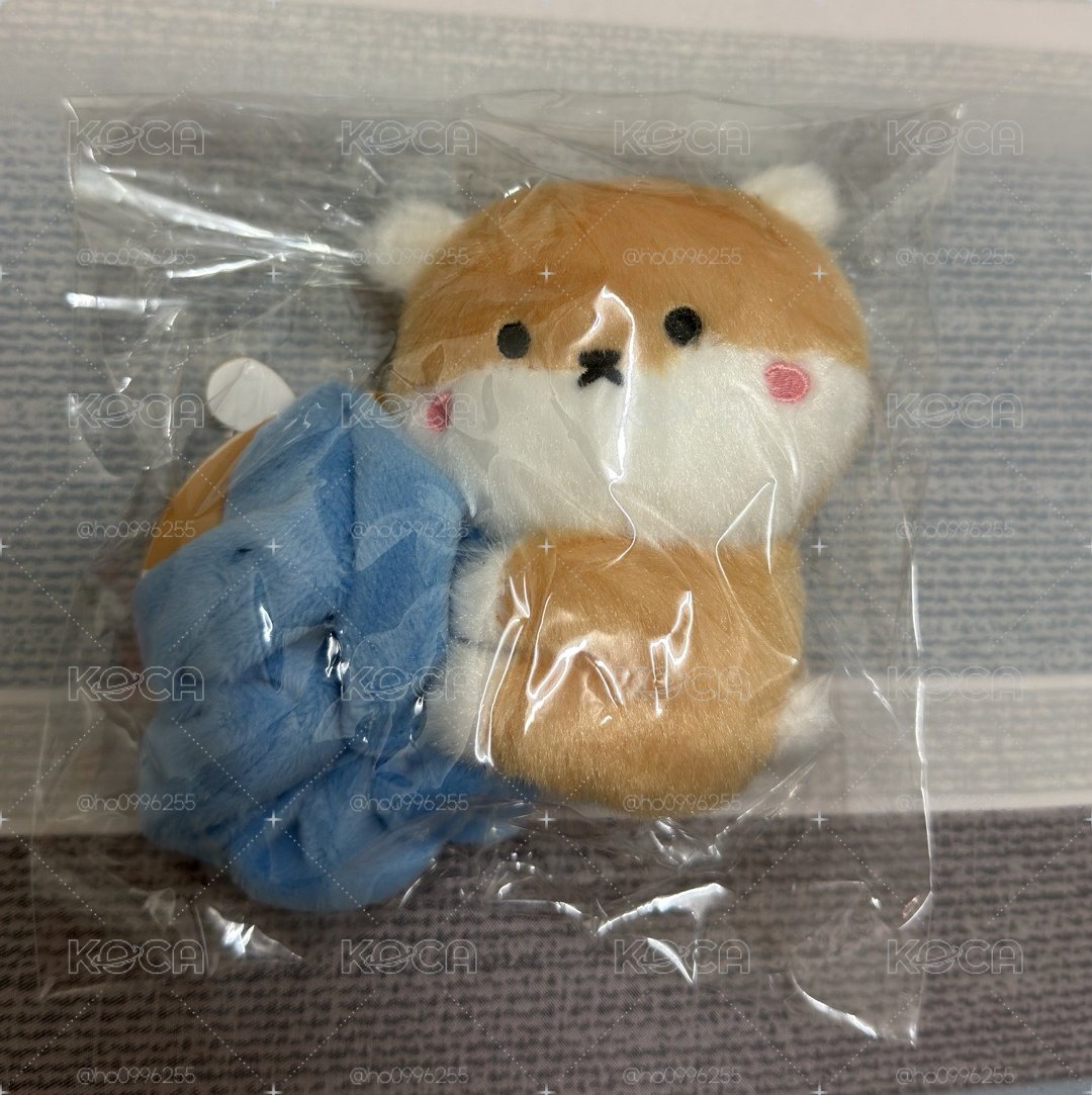 🐹大腸圈