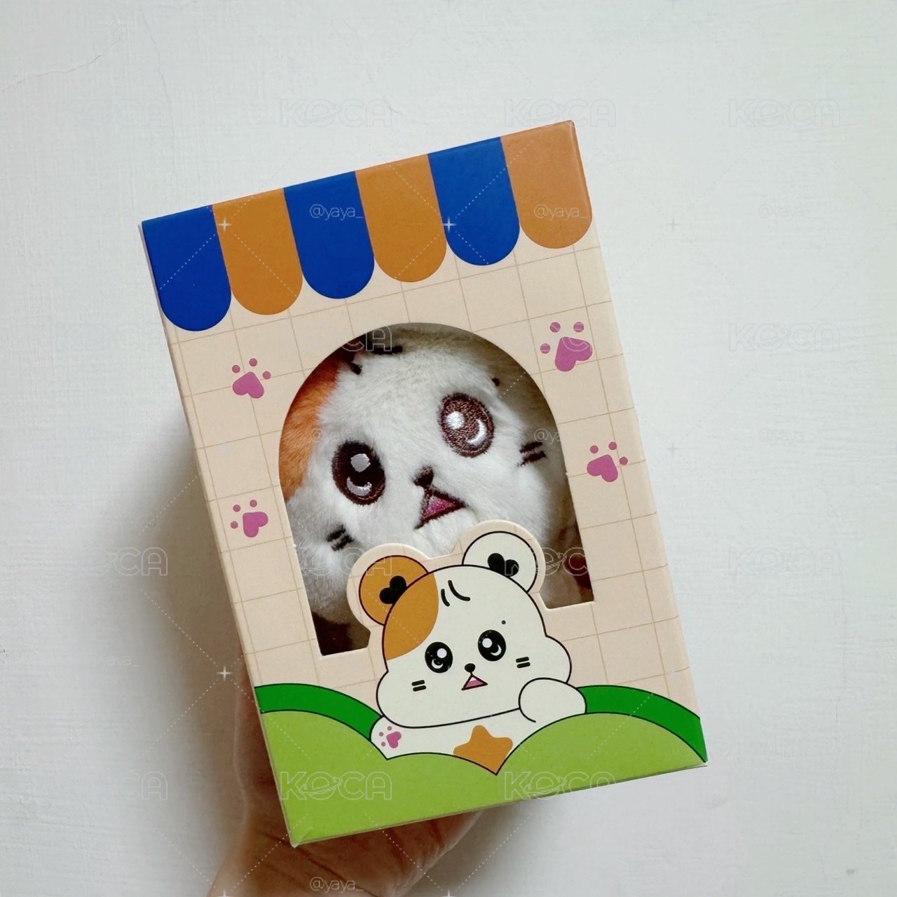 倉星 全新含特典