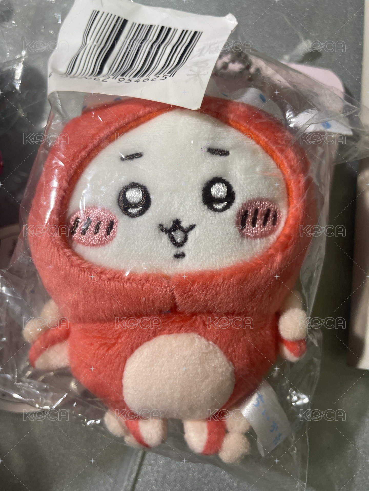 章魚吉伊