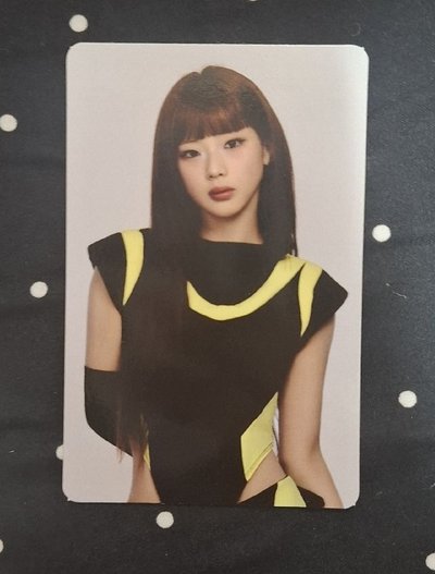 隨機官拍露