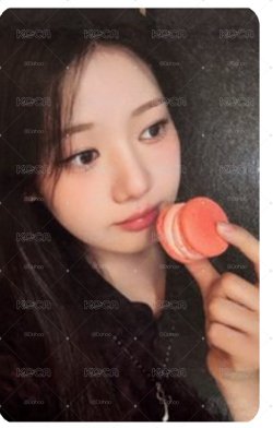 茶馬卡龍韓背