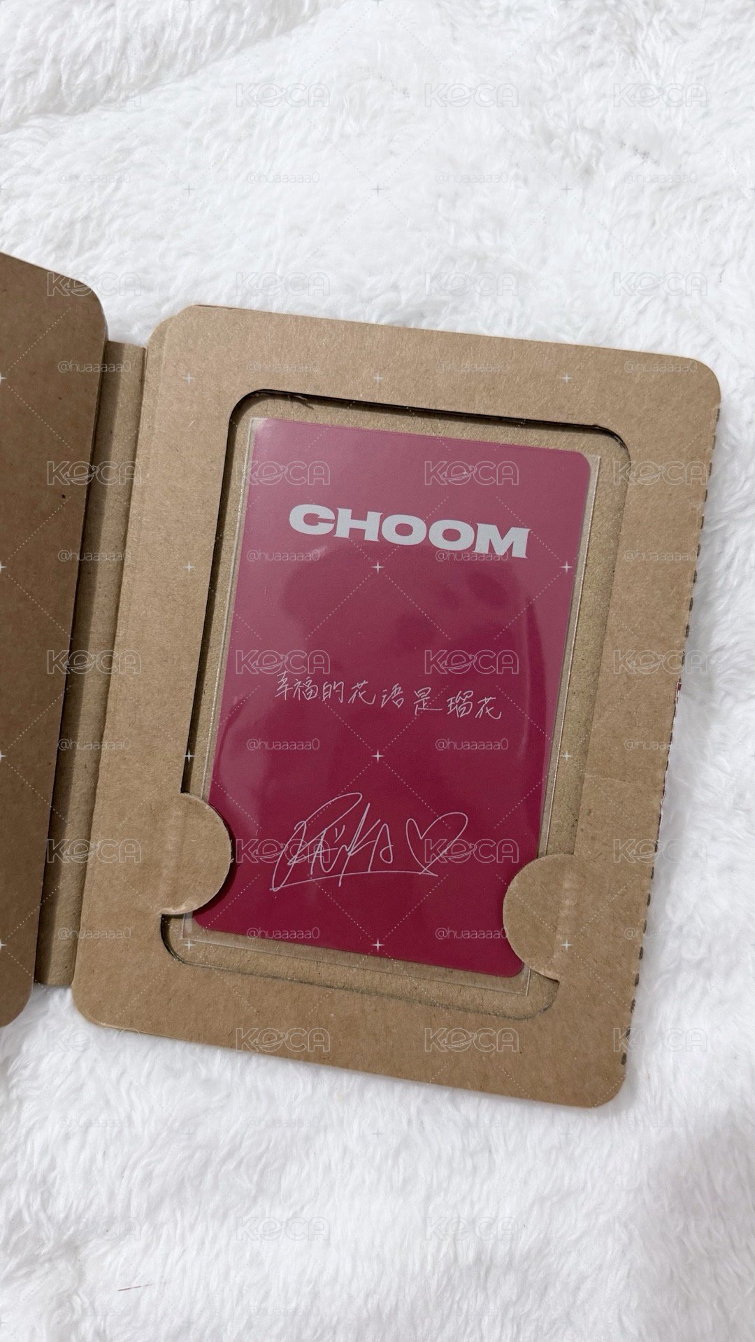 CHOOM 中文卡背1.0 特典卡+娃專卡