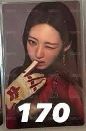 wvs茶