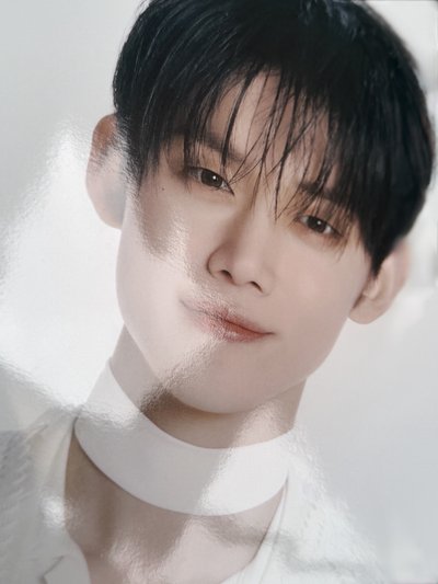 promise 竣王扇 有原袋