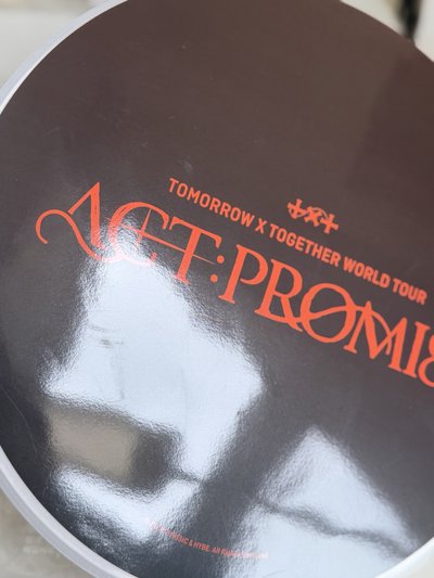 promise 竣王扇 有原袋