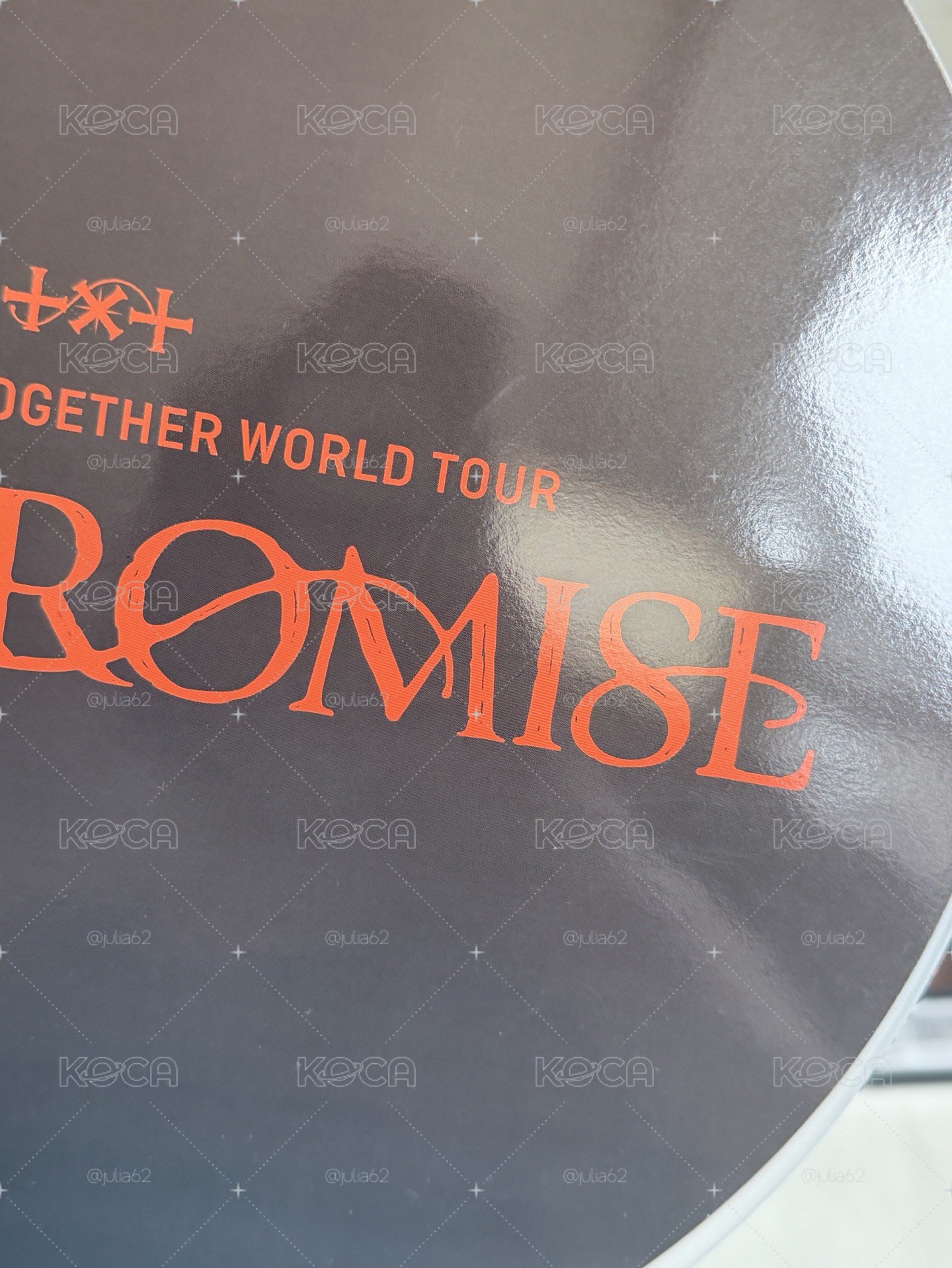 promise 竣王扇 有原袋