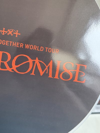 promise 竣王扇 有原袋