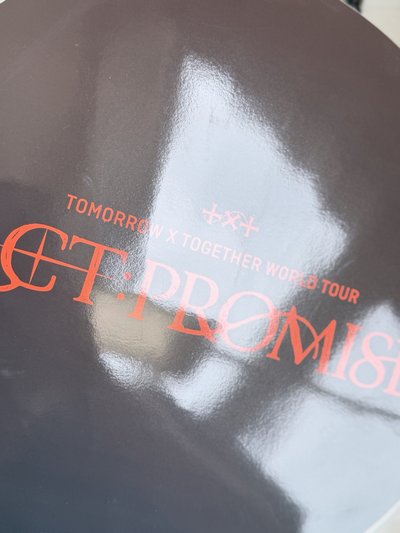 promise 竣王扇 有原袋