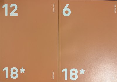 REDVELVET 一代手燈 yeri 2018年曆組