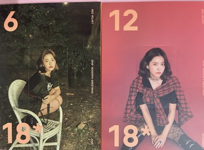 REDVELVET 一代手燈 yeri 2018年曆組