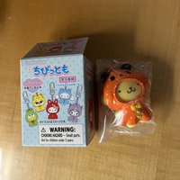 雨衣布丁狗