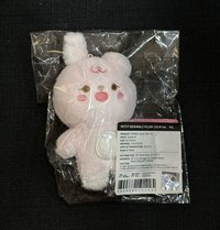 10cm🐰