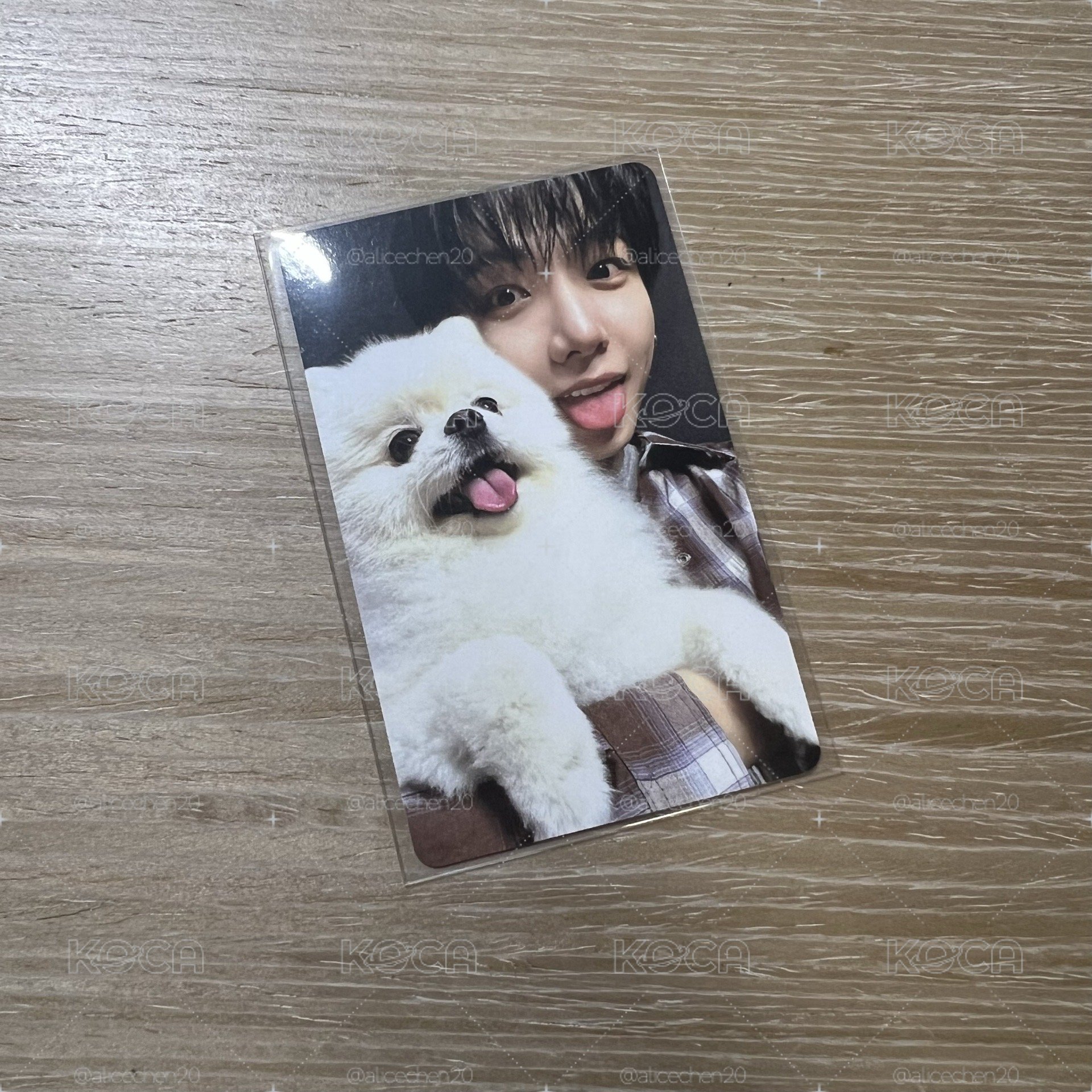 明宰鉉 小狗特典
