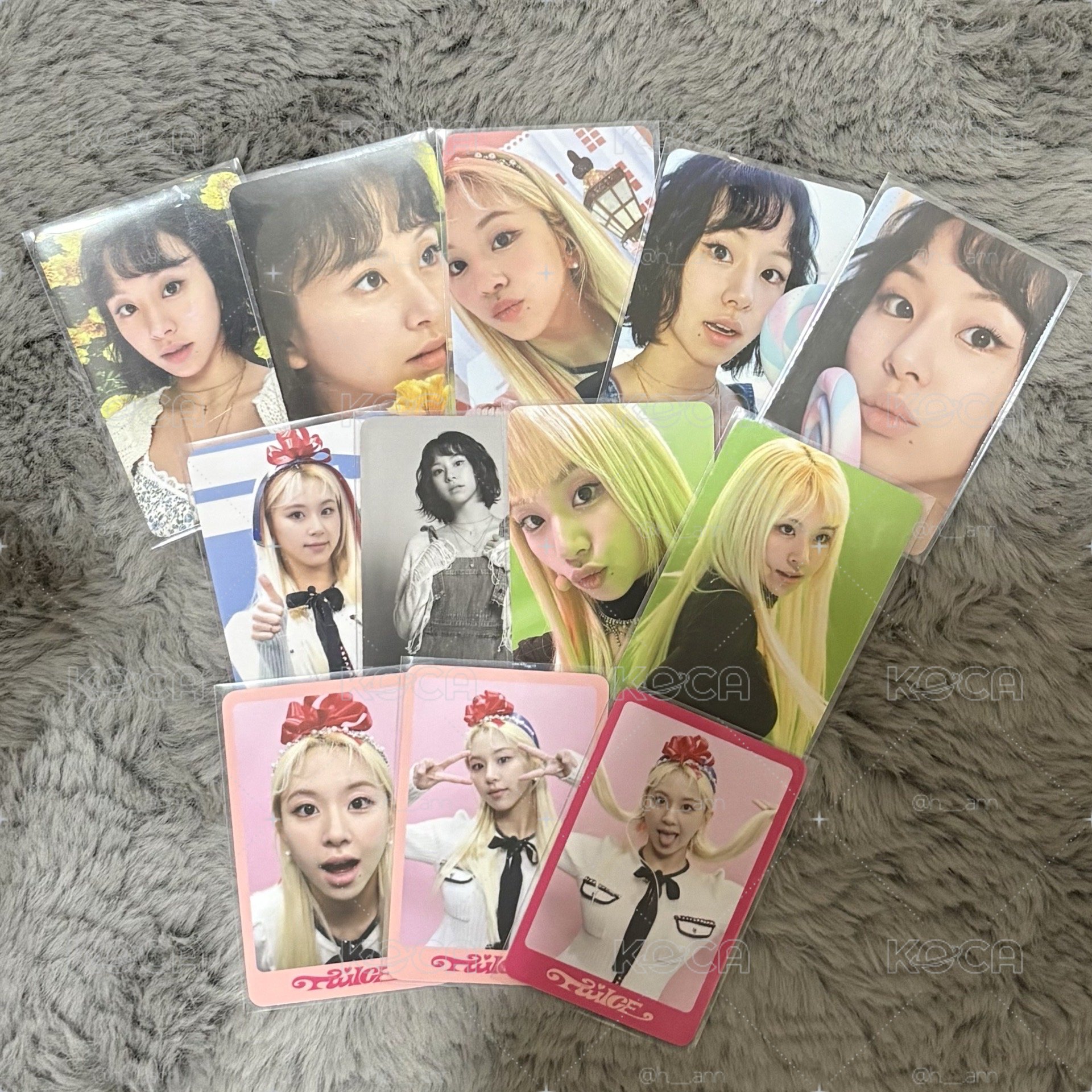 彩瑛 D社卡