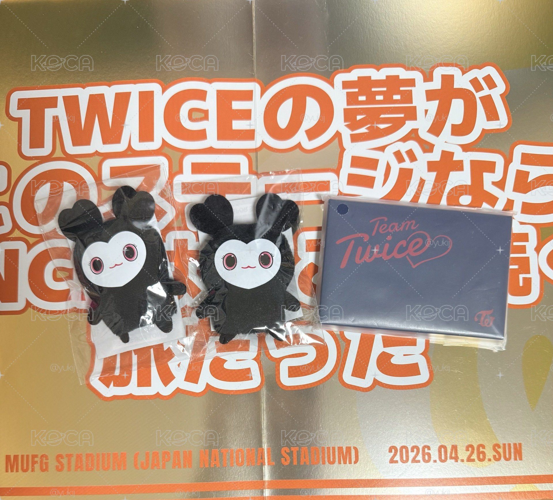 新國立小卡全套+2黑指偶+手幅