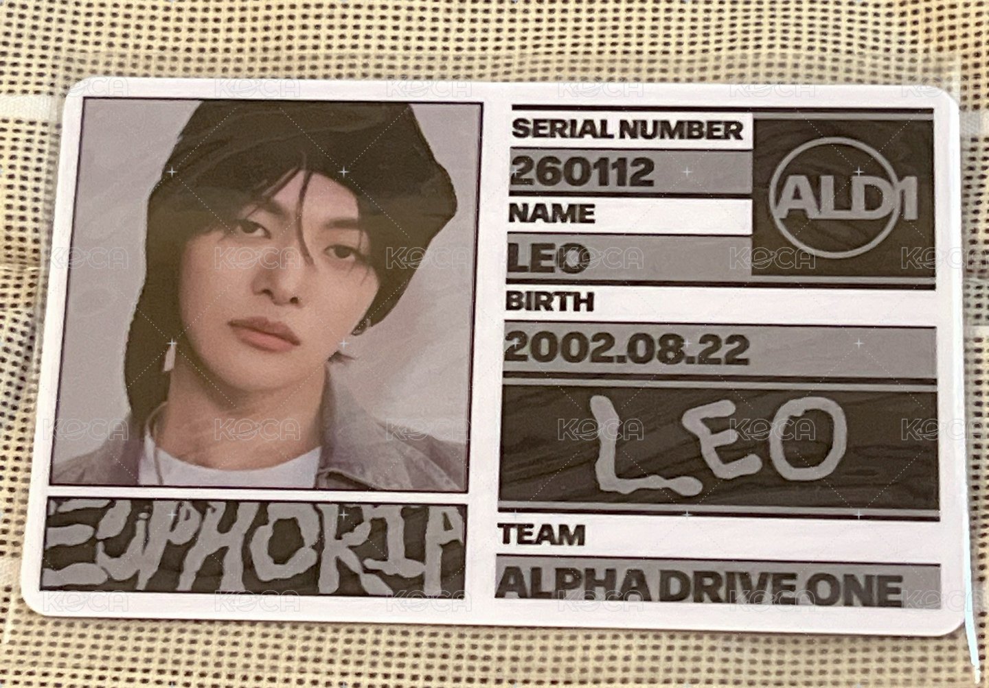 黑版LEO證照