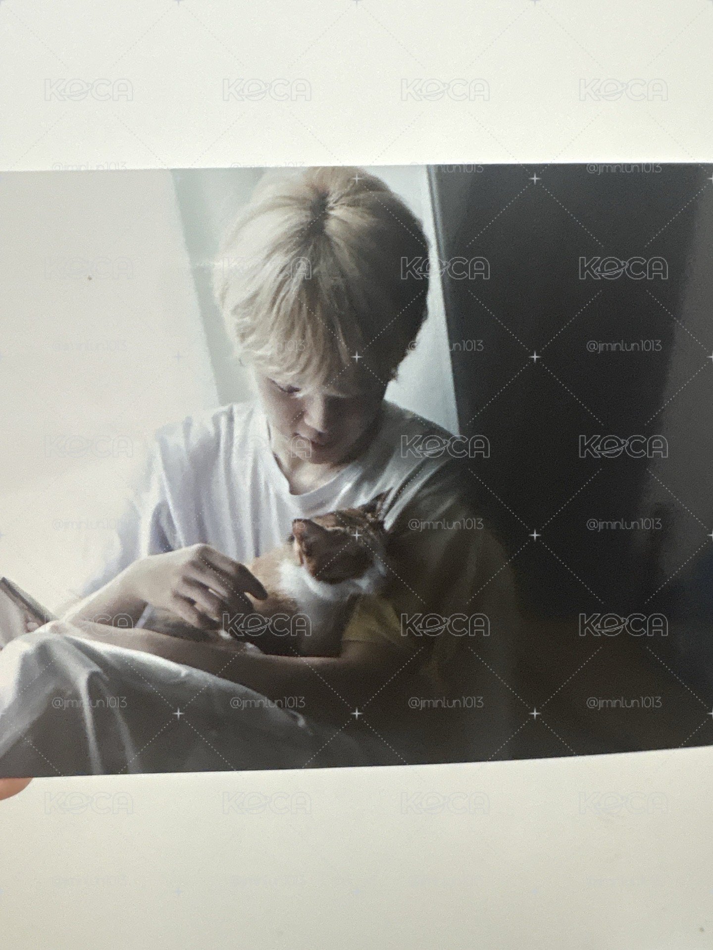 今日展 照片 JIMIN