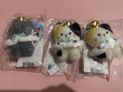 woongnini Rinini王子