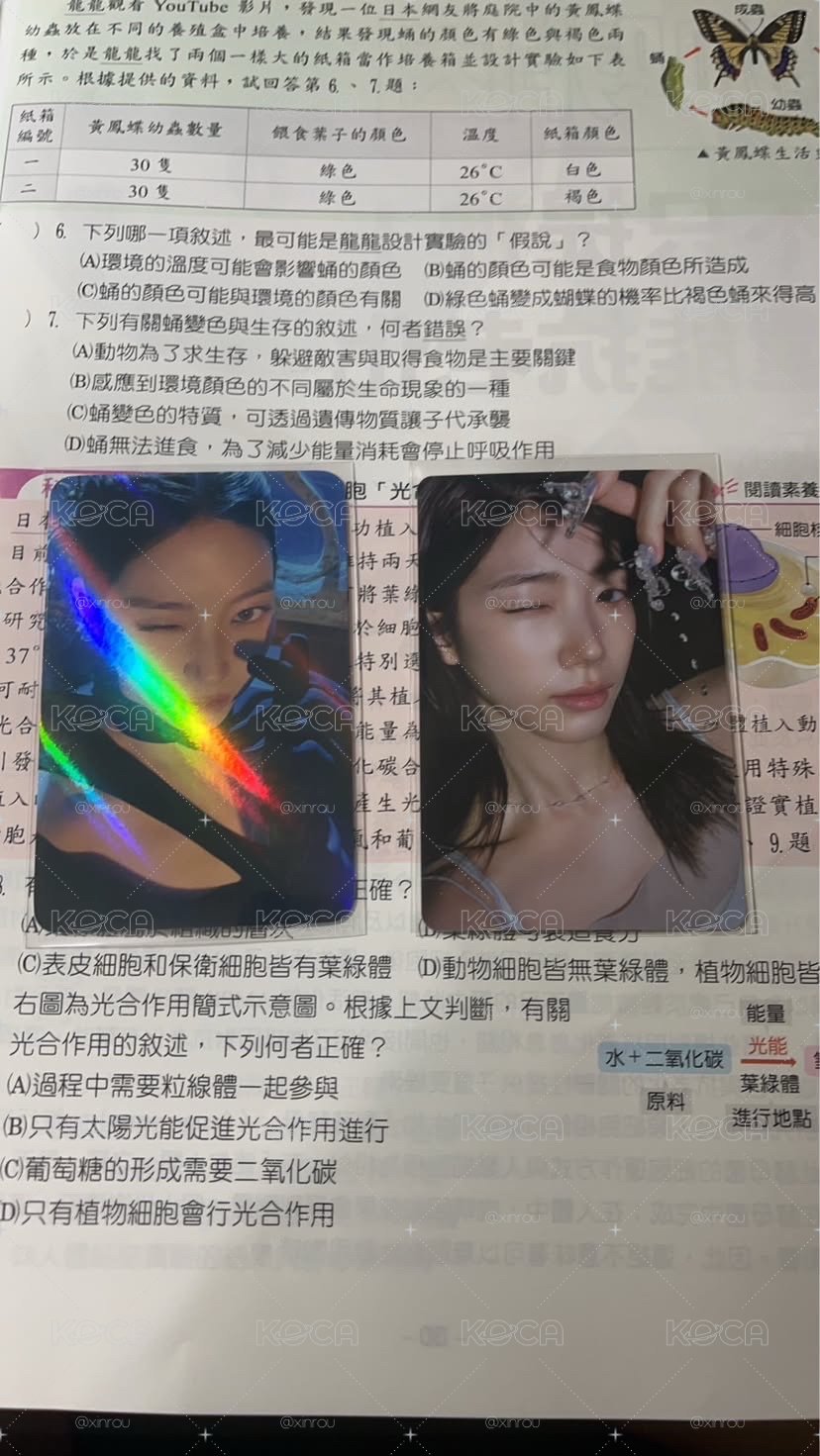 兩張一葉不拆