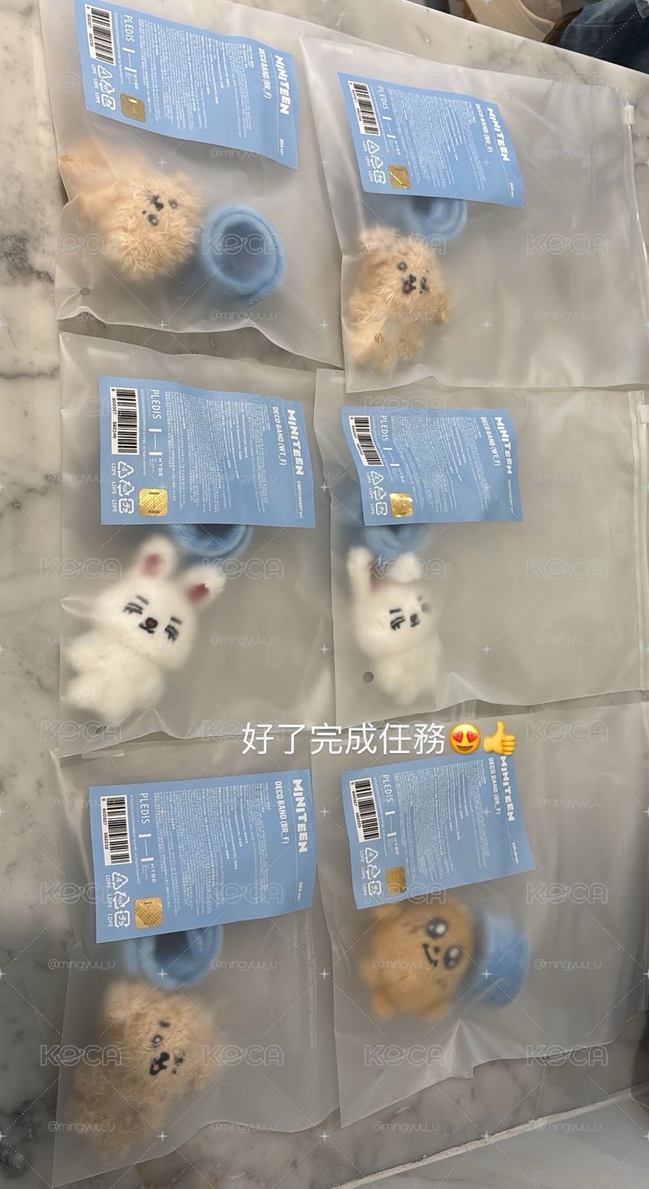 碩手燈環+圖二、圖三共6張綁卡