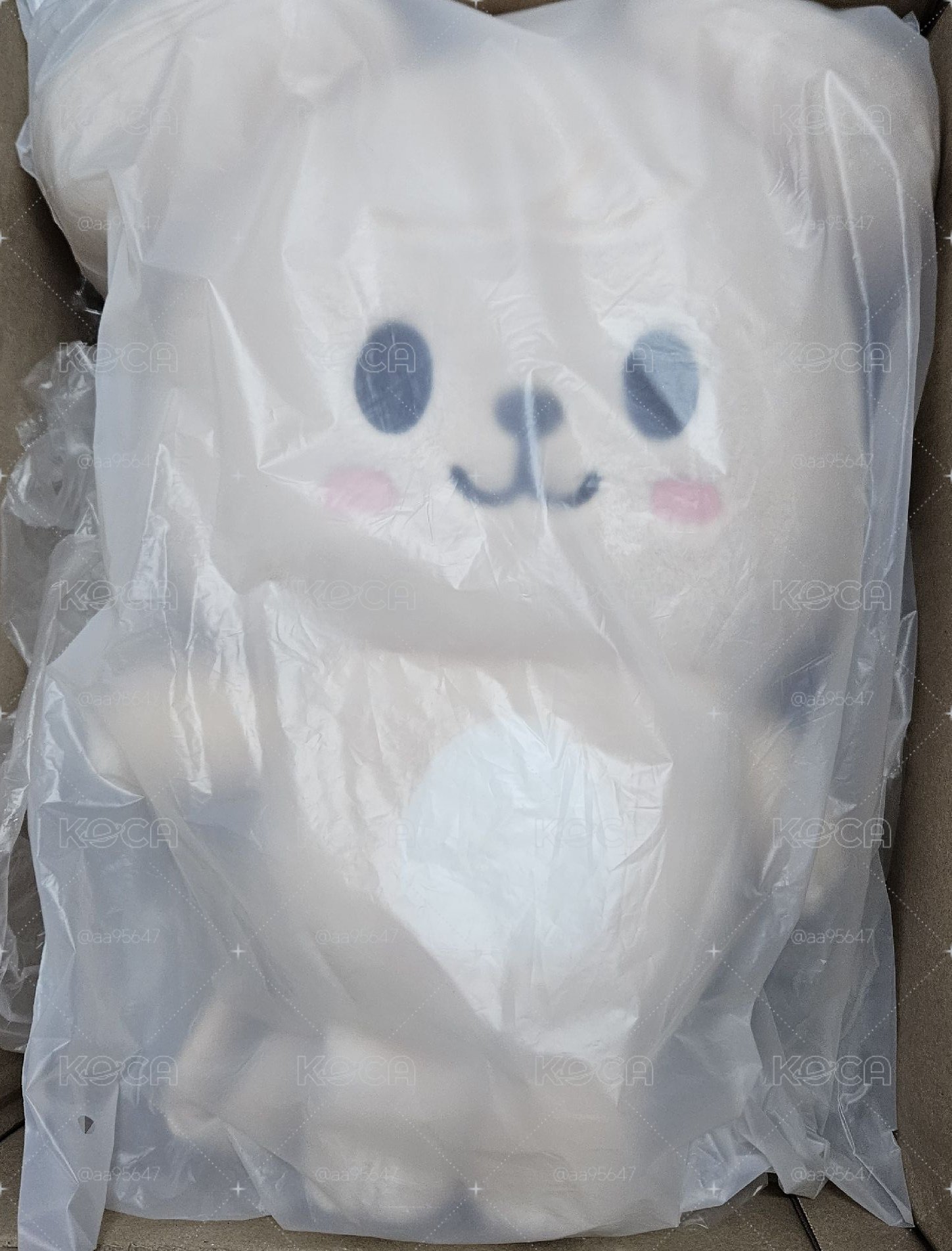 現貨 六期飯咪 帕皮後背包
