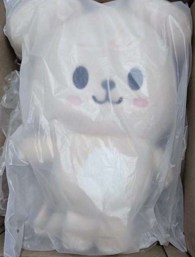 現貨 六期飯咪 帕皮後背包