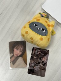 櫻花季