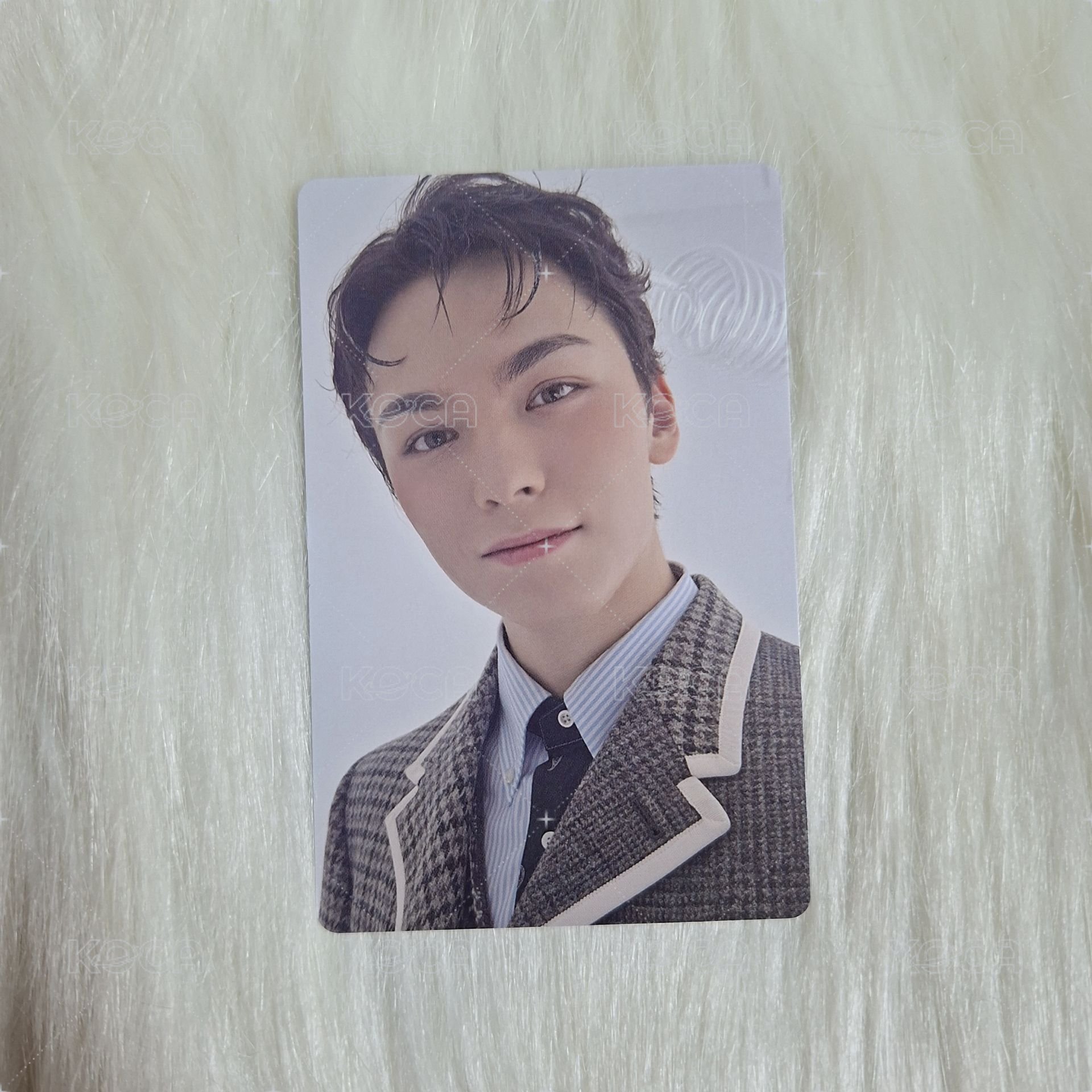 精選專🐻‍❄️