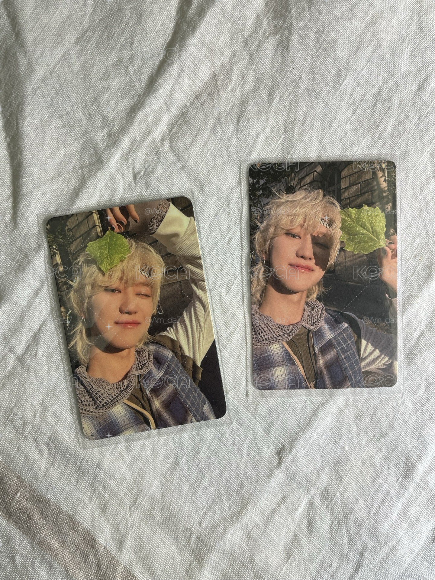 SVT 迷11 樹葉小八🍃