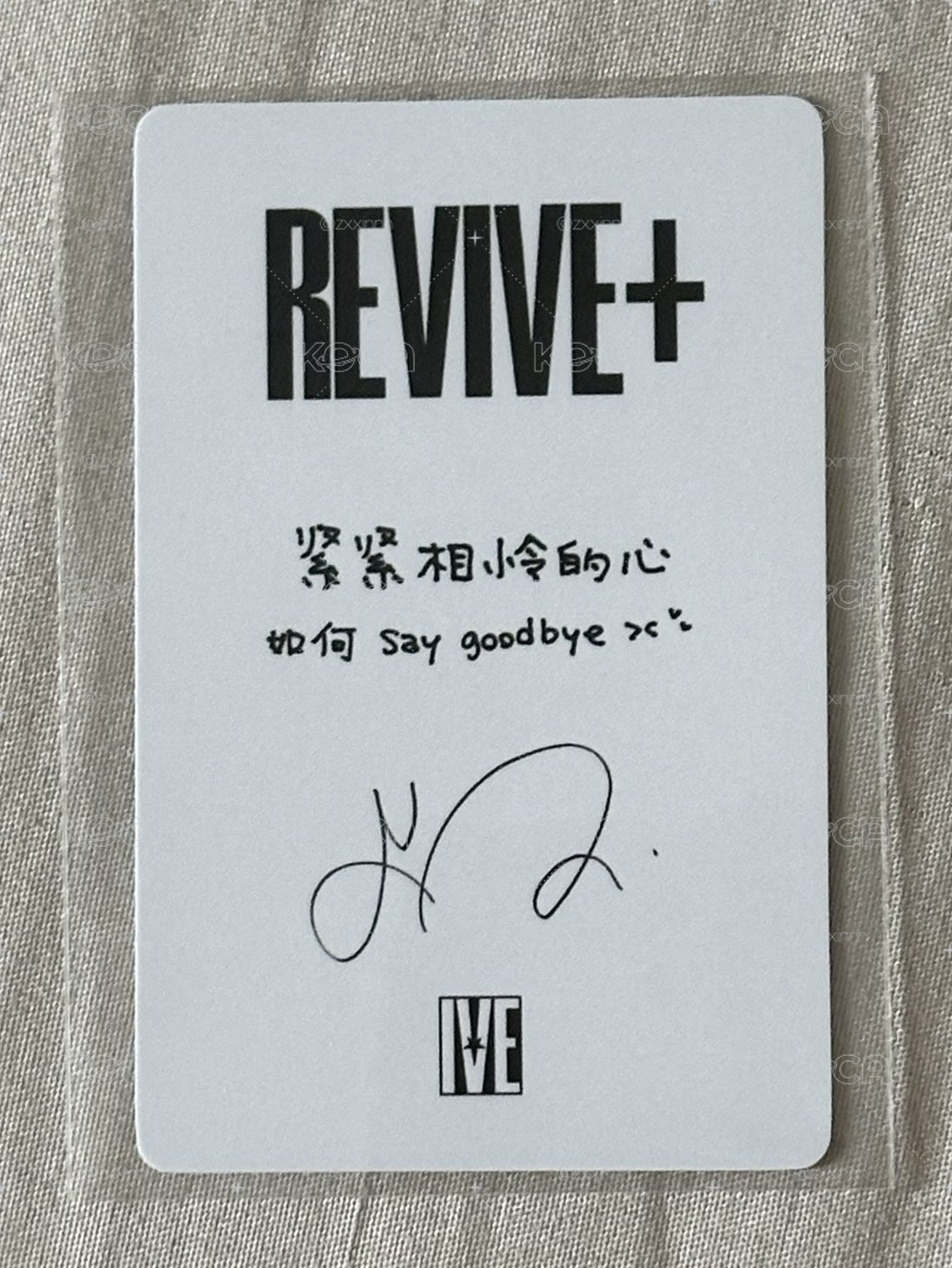 REVIVE+ 京東 1.0 特典卡 中背