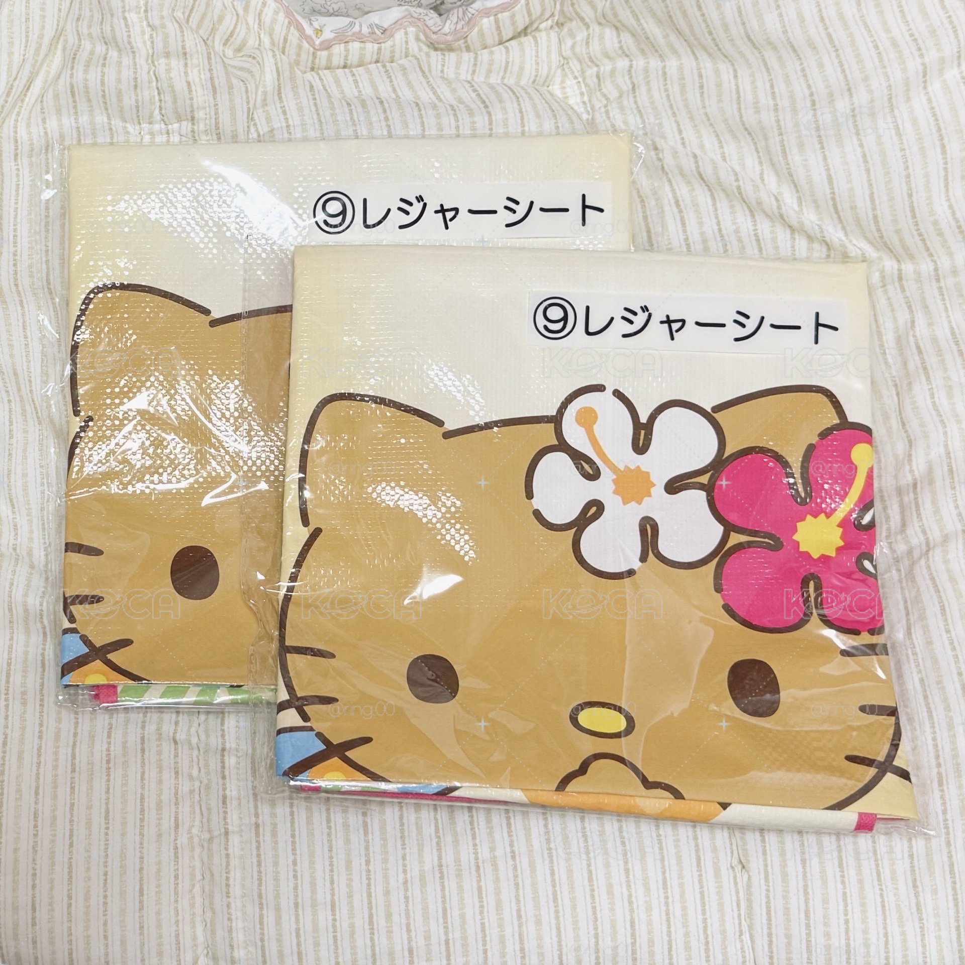 曬黑kitty 一番賞 (夏威夷黑皮系列)