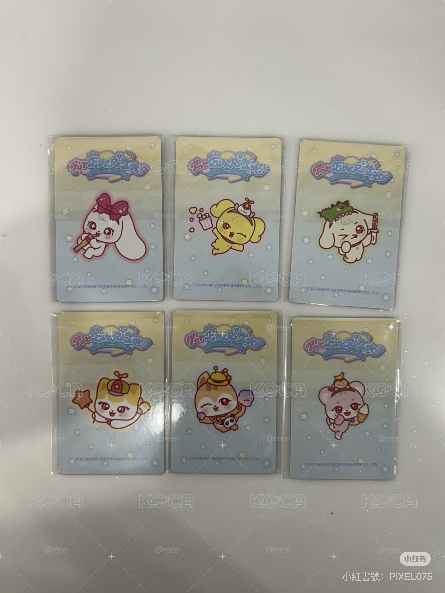 （非現）愛寶樂園滿額卡