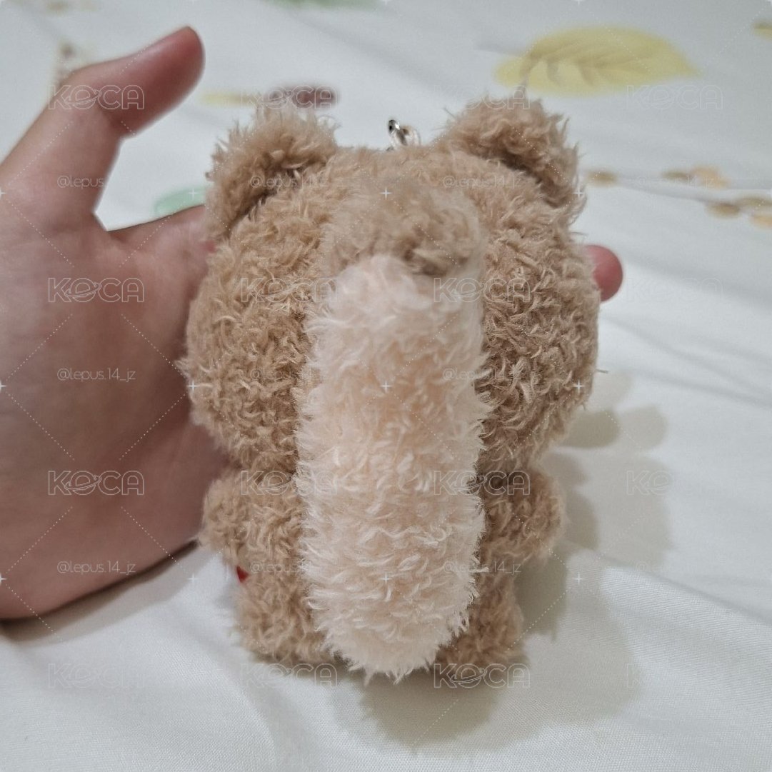 Doran潦草娃+earp earp小卡