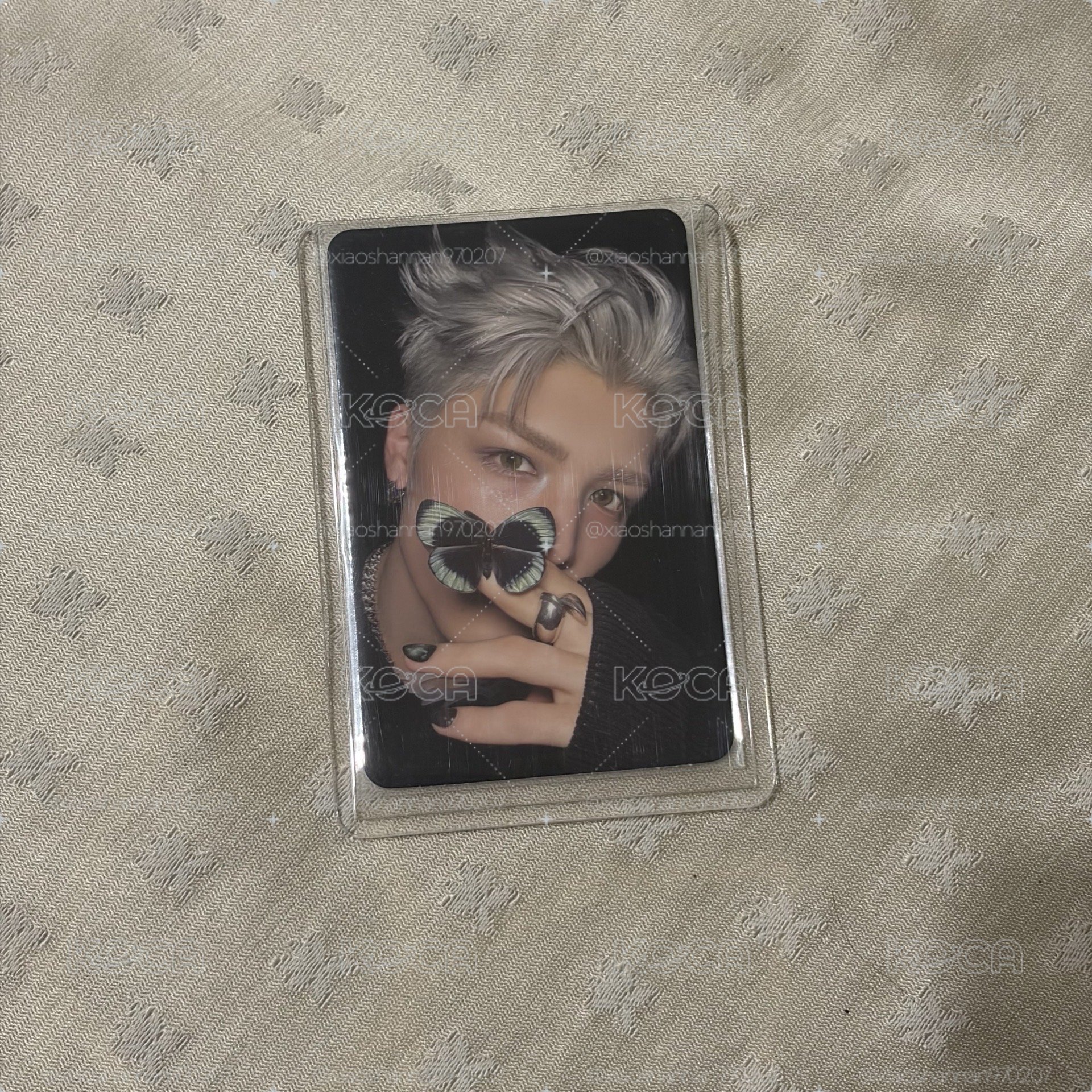 BTL 專輯卡 ROAR ver. B版