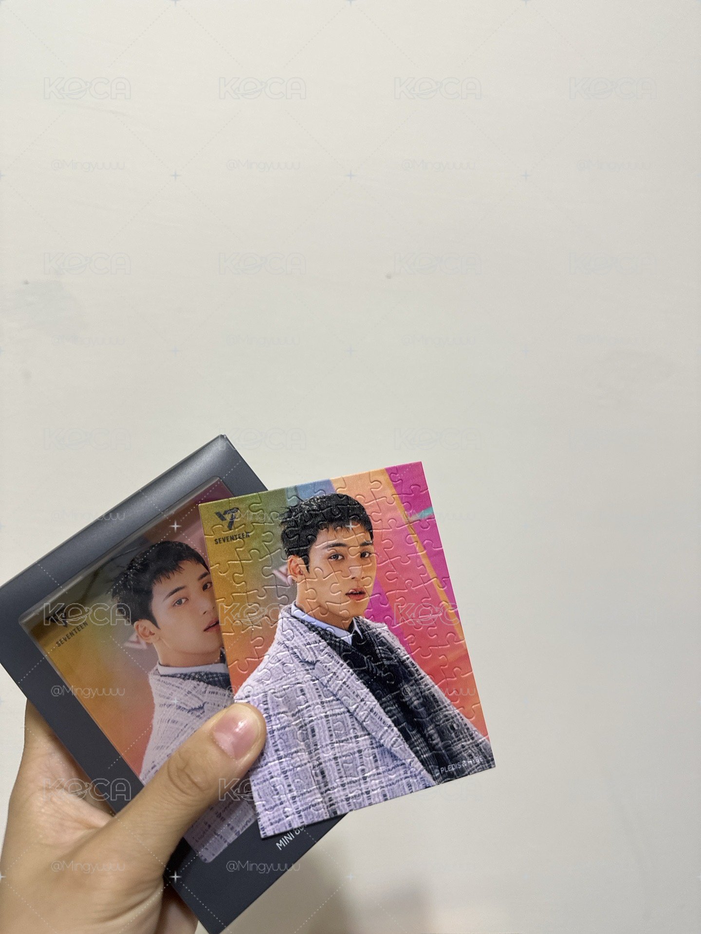 奎展示附拼圖🧩