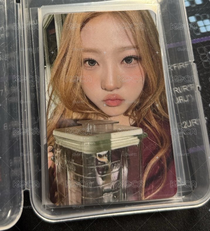 ny stella