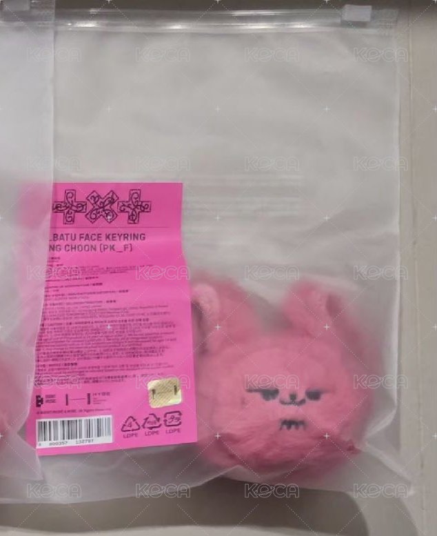 迷8 黃春火龍果 